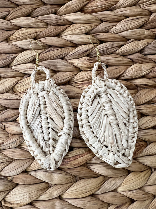 Fashion Earrings