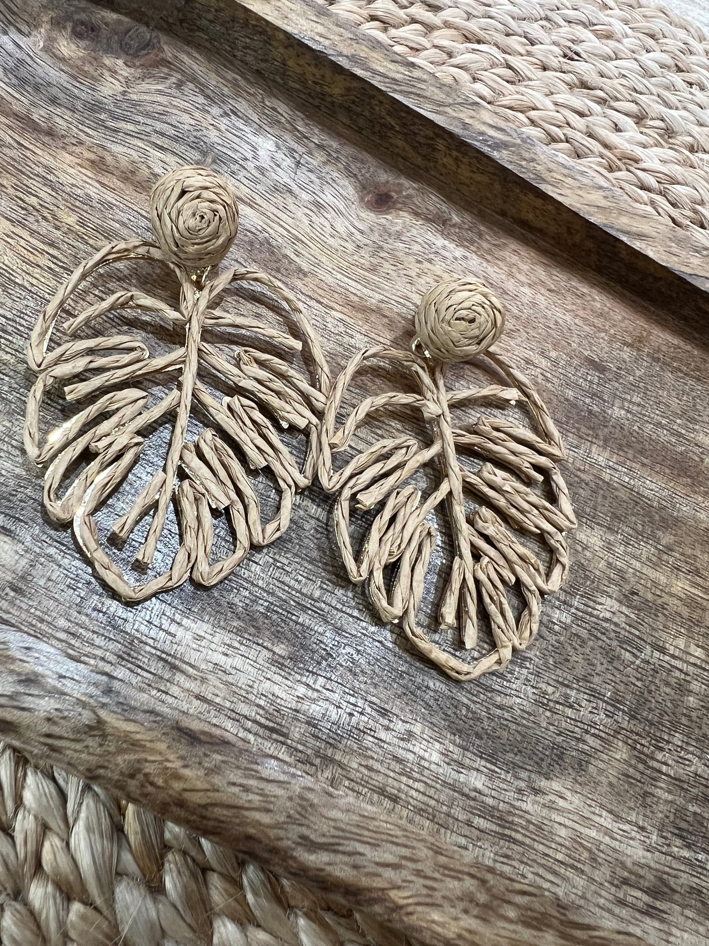 Fashion Earrings