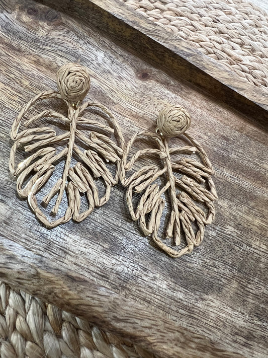 Fashion Earrings