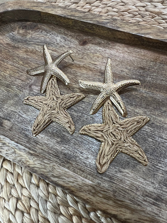 Fashion Earrings