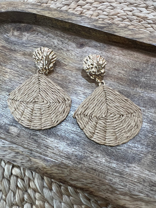 Fashion Earrings